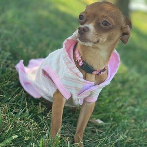 Meet your Posher, Yvette